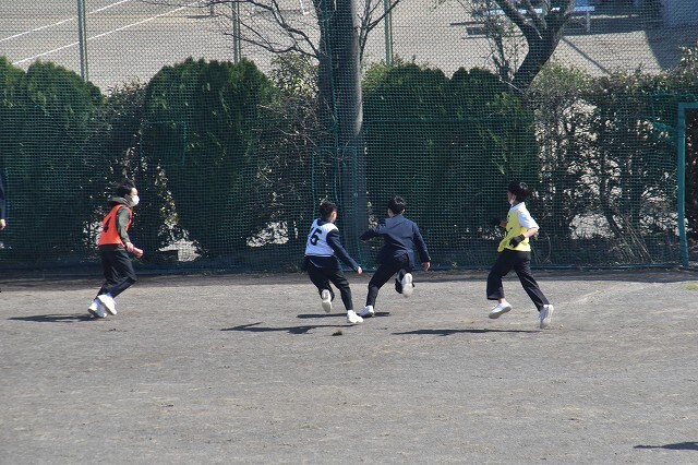 DSC_0377.jpg