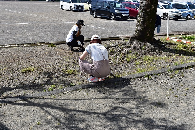 DSC_0437.jpg