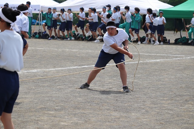 IMG_1234.jpg