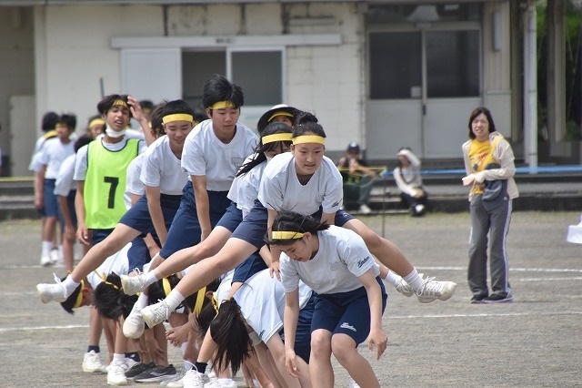 DSC_1012.jpg