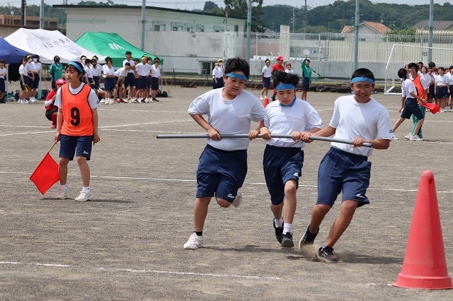 IMG_1419.jpg