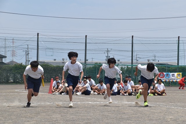 DSC_1338.jpg