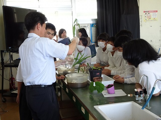 DSC08223.jpg