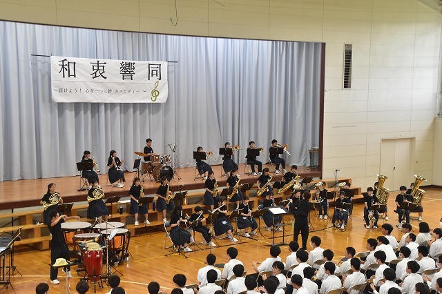 DSC_1143.jpg