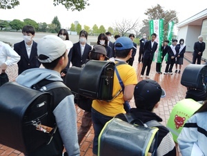 IMG_20241127_074109.jpg