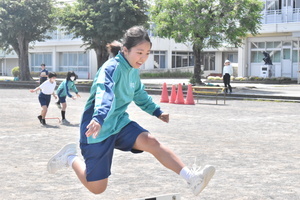 DSC_0384.jpg