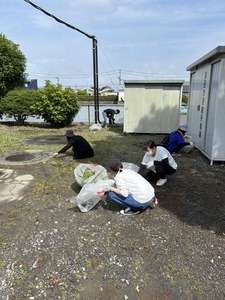 IMG_3532.jpg
