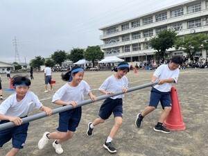 IMG_1023.jpg