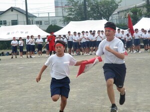 IMG_1281.jpg